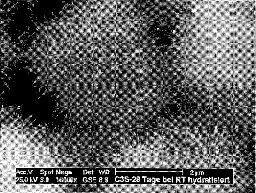 Figur 2.6 visar hur en cementpartikel (C 3 S ) ser ut efter 28 dagar gammal hydratation tagen med ESEM-mikroskop (Environmental scanning electron microscope).