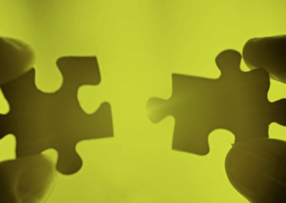 WHITE PAPER Co-branding Copyright