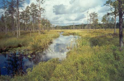 6.1 Gopån, uppströms Lingan ARO: Hamrångeån Ockelbo NO FVO Allmän beskrivning Gopån rinner från sjön Gopen, belägen i Bollnäs kommun. Den rinner över gränsen till Ockelbo kommun väster om Lingbo.