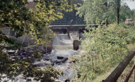 7.1 Kölsjöån ARO: Testeboån Åmot FVO Foto 7.1.6.. Vandringshinder 4. Rest av damm i Hedsjöns utlopp. Hindret redan åtgärdat. Inv. sträcka 35, -6-7.