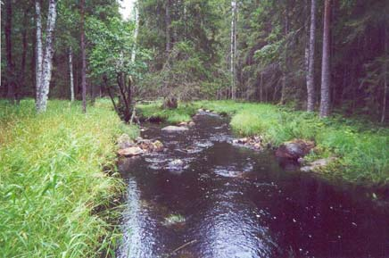 Bilaga, utdrag ur Gävle fiskeplan, Murån. är vass, näckros, dikeslånke och vattenbläddra. Näckmossa förekommer dock också i ån, där skuggningen är god och substratet består av block och sten.