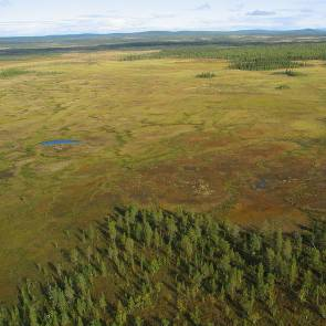 1012091 Ripakaisenvuoma Kommun Myrregion Totalareal Kiruna H 14 60 Areal land varav myr Areal vatten Areal skogsmark ovan fj.gräns Areal skogsmark ned. fj.gräns varav prod.