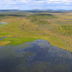 1012057 Ruokovuoma Kommun Myrregion Totalareal Pajala, Övertorneå E 818ha Areal land varav myr Areal vatten Areal skogsmark ovan fj.gräns Areal skogsmark ned. fj.gräns varav prod.