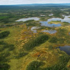 1012024 Ruoutape Kommun Myrregion Totalareal Jokkmokk Areal land 5 875ha G, H varav myr 4 809ha 6 131ha Areal vatten 256ha Areal skogsmark ovan fj.gräns 281ha Areal skogsmark ned. fj.gräns 745ha varav prod.