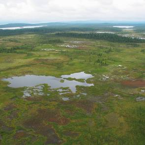 1012032 X Sjaunja-ape Kommun Myrregion Totalareal Gällivare H 23 783ha Areal land varav myr Areal vatten Areal skogsmark ovan fj.gräns Areal skogsmark ned. fj.gräns varav prod.