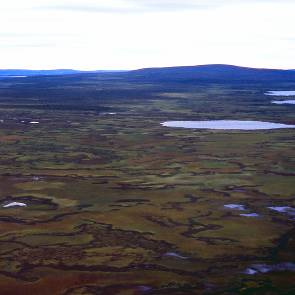 1012034 X Sjiskaape Kommun Myrregion Totalareal Gällivare H 3 21 Areal land varav myr Areal vatten Areal skogsmark ovan fj.gräns Areal skogsmark ned. fj.gräns varav prod.