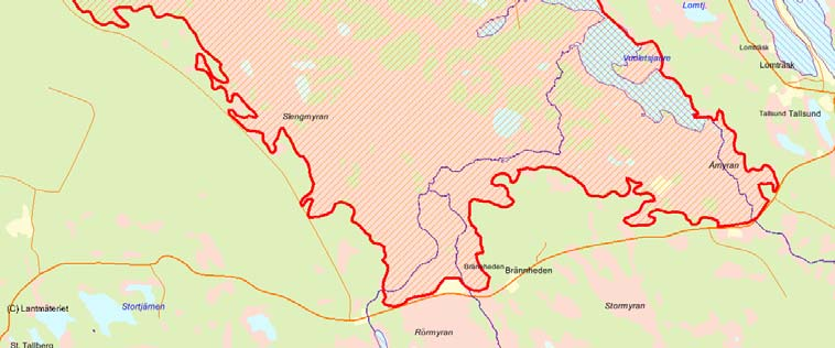 Länsstyrelsens bedömning Slengmyran har mycket höga naturvärden knutna till områdets storlek, orördhet och närhet till Sleng, den stora sjön i norra delen av myren.