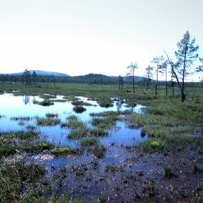 1012025 Stormyran Kommun Myrregion Totalareal Jokkmokk, Boden G 3 105ha Areal land varav myr Areal vatten Areal skogsmark ovan fj.gräns Areal skogsmark ned. fj.gräns varav prod.