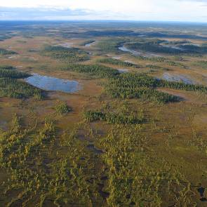 1012046 Tervavuoma Kommun Myrregion Totalareal Pajala H 8 394ha Areal land varav myr Areal vatten Areal skogsmark ovan fj.gräns Areal skogsmark ned. fj.gräns varav prod.