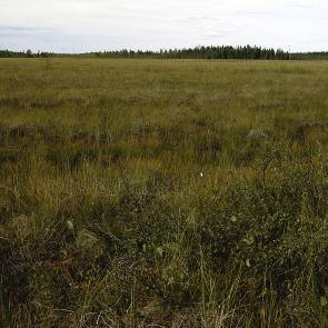1012006 Veittivuoma Kommun Myrregion Totalareal Haparanda E 2 286ha Areal land varav myr Areal vatten Areal skogsmark ovan fj.gräns Areal skogsmark ned. fj.gräns varav prod.