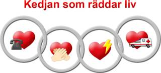flesta fall har patienten redan haft ett kammarflimmer som gått från ett grovvågigt kammarflimmer till ett finvågigt kammarflimmer och sen vidare till en asystoli.