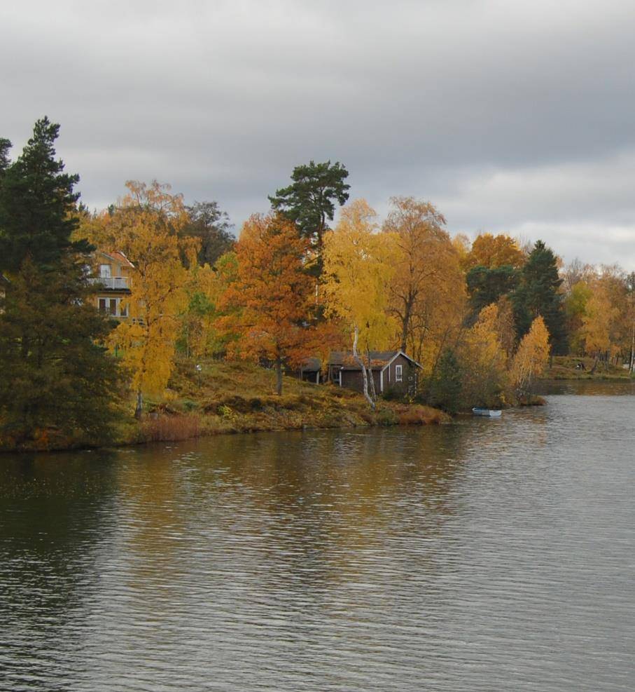 Medlemsblad