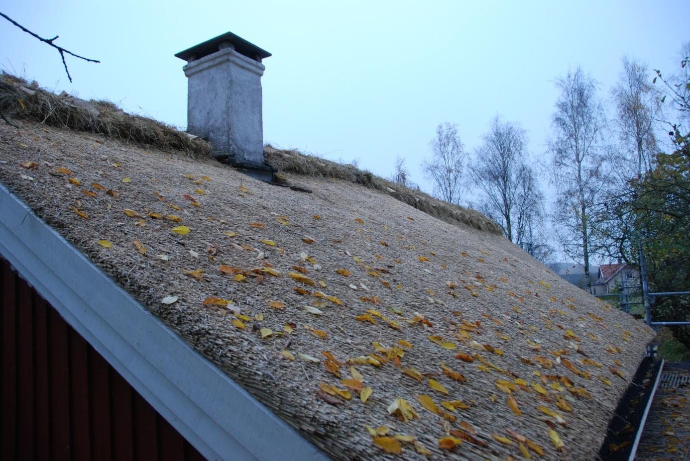 Här är också ryggningen bestående av halm med ryggträn av ek på plats.