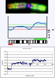 CGH-Array