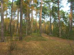En röjning av undervegetation ger också en ökad trygghet för samtliga besökare. Informationsskylten som finns vid början av elljusspåret borde vara större.