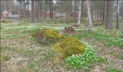varierade beteshagar av bl.a. lövblandskog, äldre björkskog och öppen hagmark samt gravfält. Attraktionskraft: Klass 3 och 4.