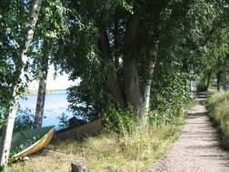 Friluftsliv: Promenader, vandring, utbildning och löpning.