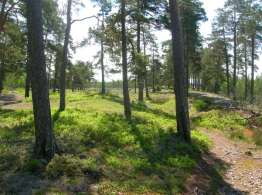 Friluftsområden i Kungsörs kommun Tidigare planer och ställningstagande Översiktsplanen antagen år 1990 (ÖP90) I den nuvarande översiktsplanen för Kungsörs kommun, antagen år 1990 (ÖP90), anges
