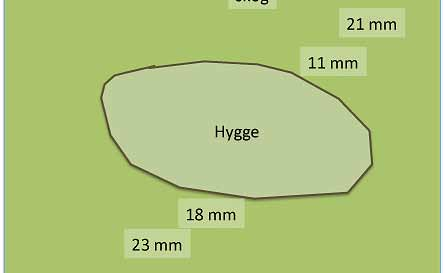 Skogslevande mossor växer sämre i solexponerade kantzoner Ett referat av: Hylander, K. 2005. Aspects modifies the magnitude of edge effects on bryophyte growth in boreal forests.