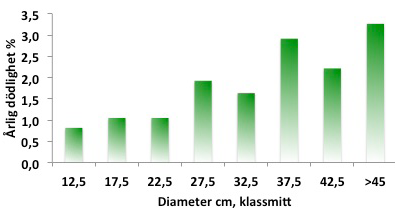 Avdöendet i trädgrupper minskar efter de första årens vindfällning Ett referat av: Jönsson, M. T., Fraver, S., Jonsson, B. G., Dynesius, M., Rydgard, M. & Esseen, P. A. 2007.