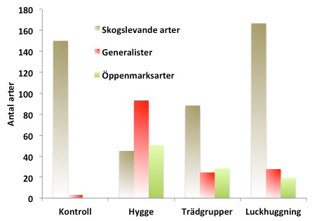 Jordlöparnas artsammansättning förändras efter avverkning Ett referat av: Koivula, M. 2002. Alternative harvesting methods and boreal carabid beetles (Coleoptera, Carabidae).