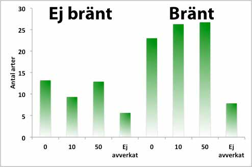 Fler jordlöpararter med bränning på hygget Ett referat av: Martikainen, P., Kouki, J. & Heikkala, O. 2006a.