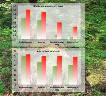 Mossor och lavar i naturreservat, nyckelbiotoper, hänsynsytor och gammal skog Ett referat av: Perhans, K., Gustafsson, L., Jonsson, F., Nordin, U. & Weibull, H. 2007.