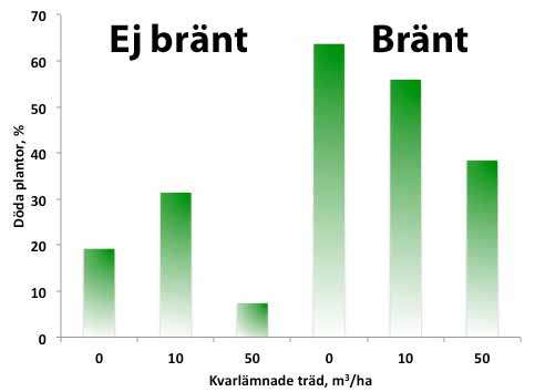 Mindre snytbaggeskador med lämnade trädgrupper Ett referat av: Pitkänen, A., Törmänen, K., Kouki, J., Järvinen, E. & Viiri, H. 2005.