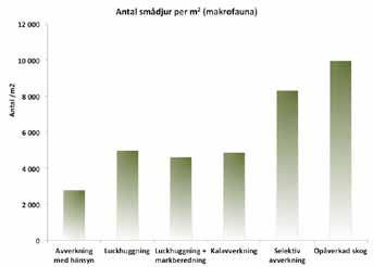 Markfaunan påverkas av kalavverkning Ett referat av: Siira-Pietikäinen, A. & Haimi, J. 2009.
