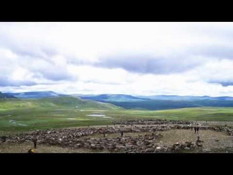 Sápmi -