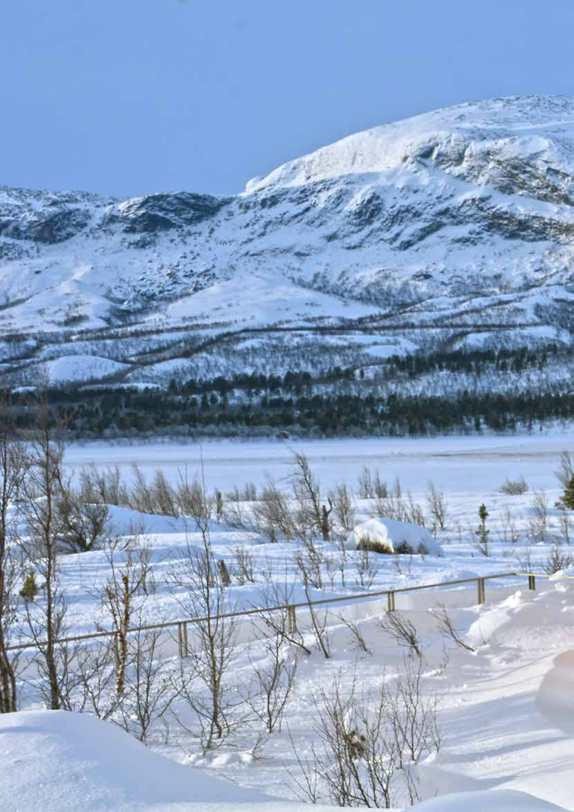 REFERENSER BIOVAC SBR 0105 LAPONIA Långt uppe i nordligaste Sverige, ca 20 mil norr om polcirkeln, ligger naturlandskapet Laponia.