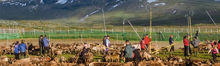 Foto: Carl Johan Utsi Laponia Världsarvet Laponia är ett samiskt kulturlandskap, med flera tusen år gamla spår efter mänsklig verksamhet, och är samtidigt Europas största sammanhängande