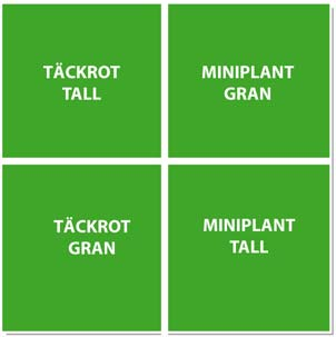 1. Hur fungerar plantering av miniplantor av tall och gran under praktiska förhållanden efter konventionell markberedning med harv?