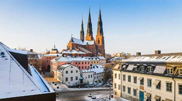 Taklandskapet kring domkyrkomiljön har mycket höga kulturhistoriska och upplevelsemässiga värden. Men även andra delar av innerstaden har värdefulla taklandskap som ska värnas.