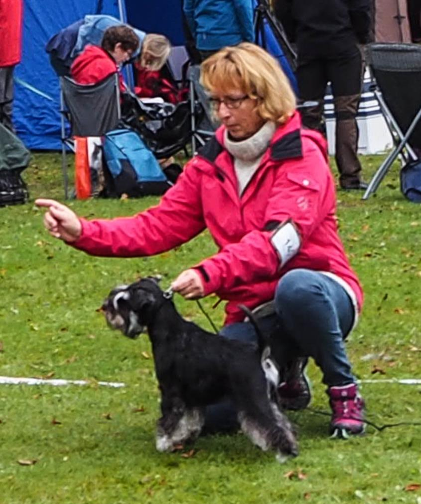 Grattis matte Therese! 30/7 Utställning i Ransäter. Domare Eva Nielssen Märta - Amorras Gudomliga Garbo - 1 ÖKK Excellent Ck Grattis matte Ann Catrin och husse Peter!