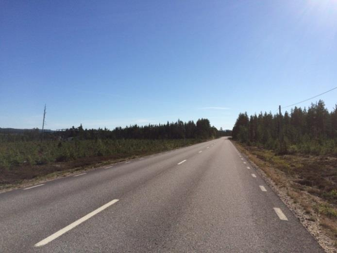 Utformning och lokalisering Projektmålet är att med bibehållna naturvärden möjliggöra hastigheten 100 km/h på huvuddelen av sträckan.