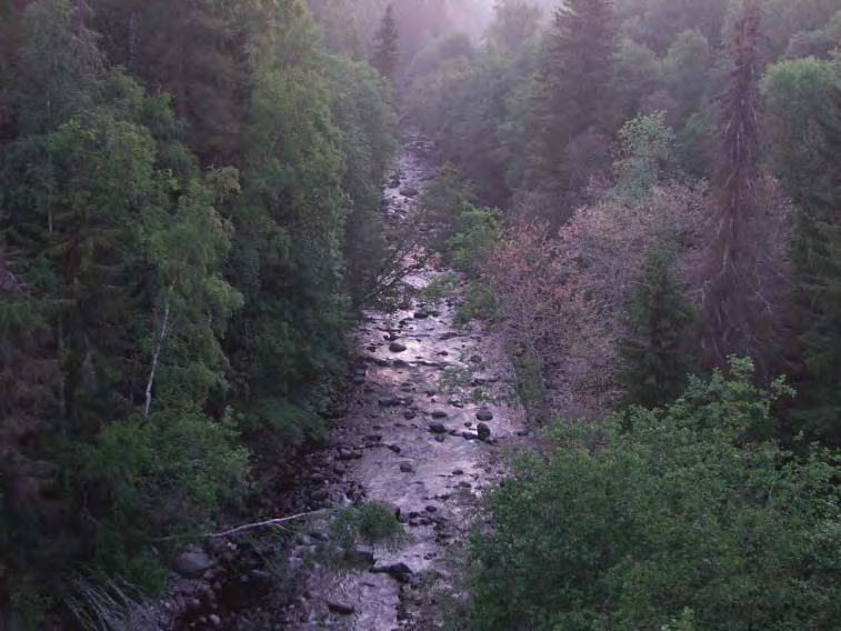 0189b Björkå bruk Björkå bruk inventerades runt byggnaderna vid Björkå herrgård, ravinen väster om herrgården och vägen som går från byggnaderna ner mot älven.