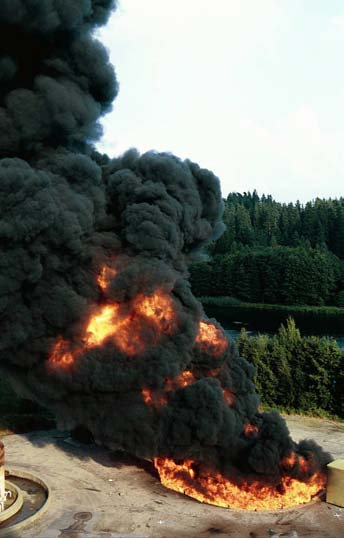 miljön. Exempel på sådana ämnen är olika kemikalier som flamskyddsmedel, pesticider med mera.