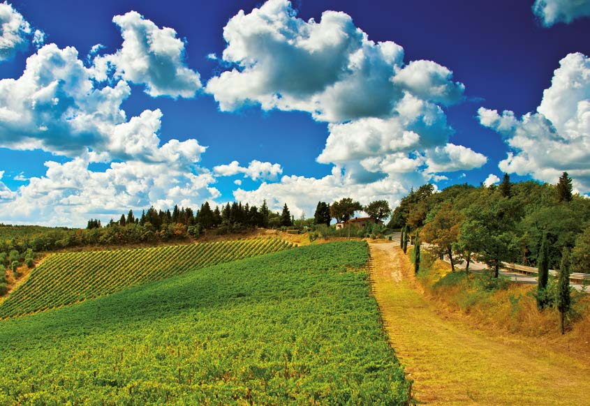 Wine, a culture of moderation För en hållbar vinkultur som främjar hälsosamma livsstilar och välbefinnande Copyright: WIM Association A SV P Design: inextremis.be - Photos: fotolia.
