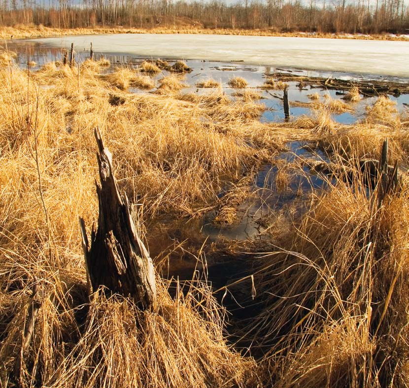 Anpassning till förändrat klimat i Norrbotten Klimatförändringar i Norrbottens län