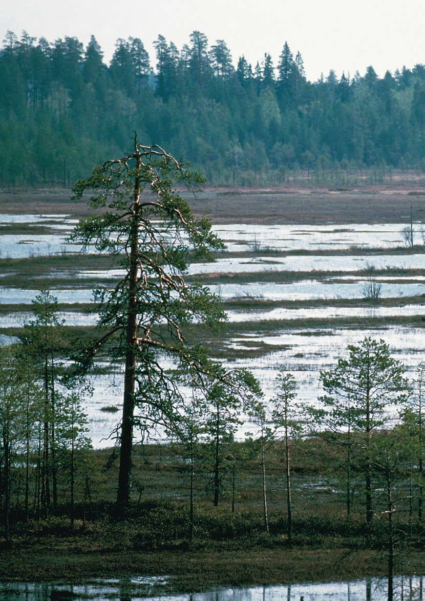 klimatförändringar i