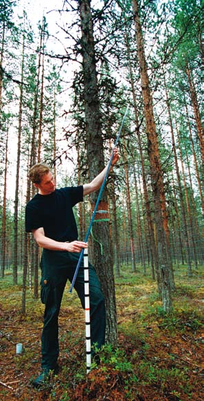 Areella näringar och turism Skogsbruk Konsekvenser Det allmänt varmare klimatet, en längre vegetationssäsong och ökad koldioxidhalt i atmosfären väntas föra med sig att tillväxten av tall, gran och