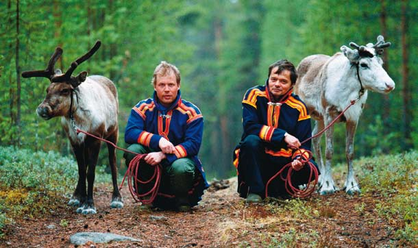 Rennäring Konsekvenser De varmare och blötare vintrarna kan innebära ökade problem med is och skare vilket påverkar renens förmåga att nå föda.