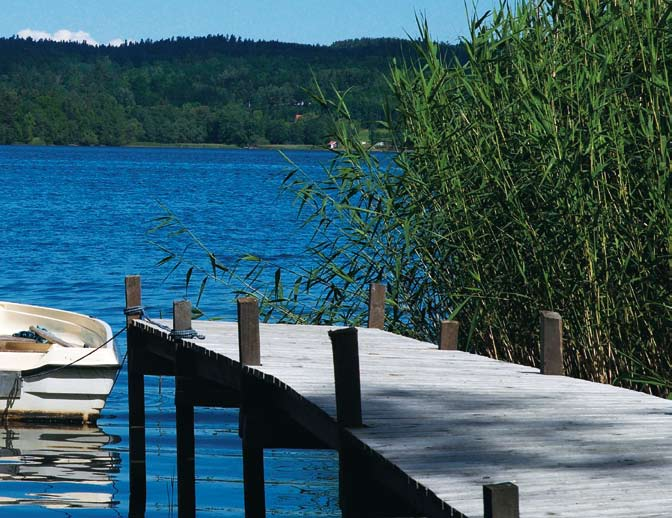 näringsämnen under våren, minskat tillflöde av närsalter på våren. Sommar/höst: Närsaltbrist, syrebrist.