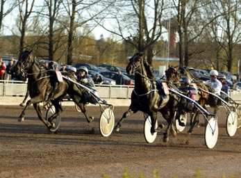 070421 Äkta hat-trick av Leif Leif Witasp hade en riktigt lyckad kväll på Rättvikstravet igår. Fyra uppsittningar gav tre segrar och ett andrapris och han noterade ett äkta hat-trick.