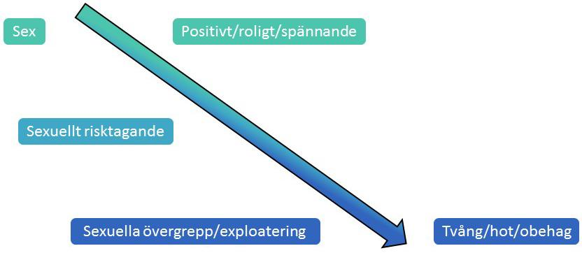 2.1. Sex, sexuellt risktagande och sexuella övergrepp på nätet De flesta barn och unga har inte sex på nätet (Jonsson et al., 2015c; Svedin et al.