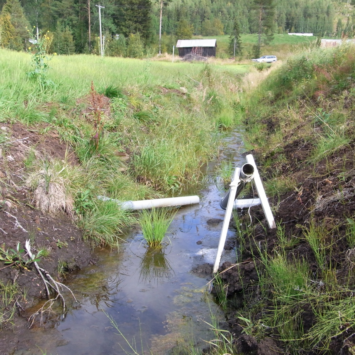 51 På de täckdikade tegarna veks två täckdikesrör upp 40-50 cm, nästa två lämnades nedvikta, et.c. för att skapa skillnader i grundvattennivå.