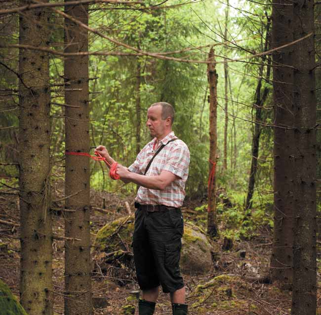 Skogsavdraget 60 procent Som skogsavdrag får dras av högst 60 procent av anskaffningsutgiften för en skogslägenhet.