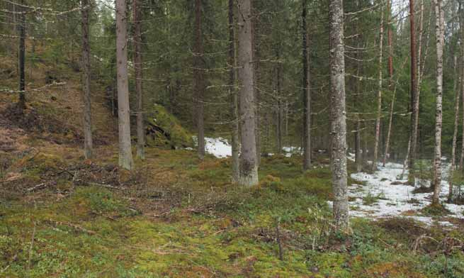 Virke som används i jordbruket Reglerna för brännved, gagnvirke och förädlingsvirke i jordbruket är de samma som för byggnadsvirke för det privata hushållet.