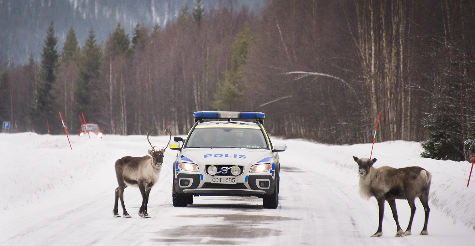 Prioriterade fokusområden 2017-2018 Alla kommuner har tillsammans med polisen via nätverksträffar bidragit till att ge sin syn på vad som bör prioriteras i den gemensamma lägesbilden.